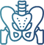 KINESIOLOGY SOFTWARE  SOLUTIONS
