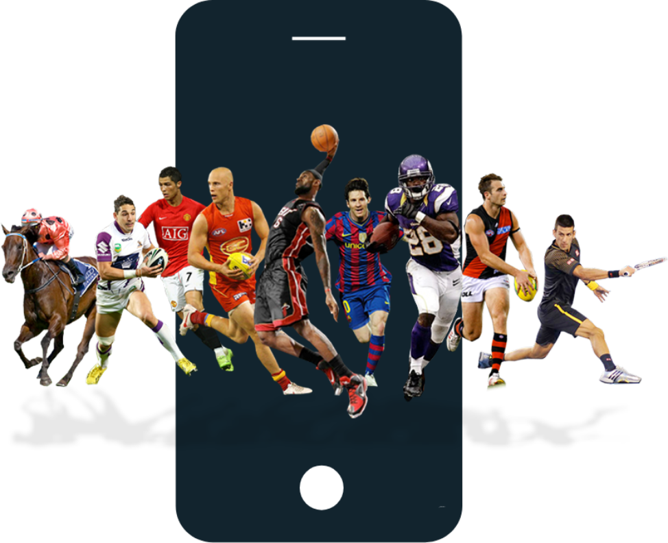Athletic Medical Support Software